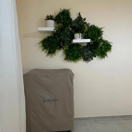 Seaside Temporary House *